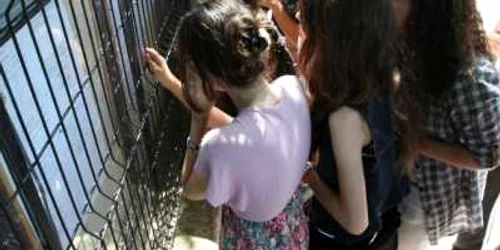 235 de elevi doljeni au contestat notele obţinute la matematică