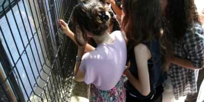 235 de elevi doljeni au contestat notele obţinute la matematică