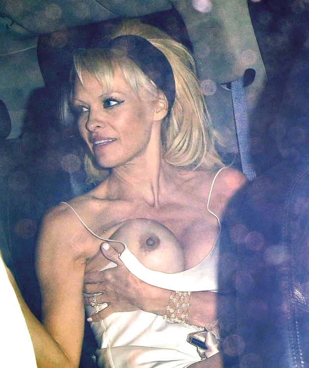 
    1990. Pamela este aleasă “Fata lunii Septembrie” în Playbooy şi-şi începe cariera la 23 de ani  