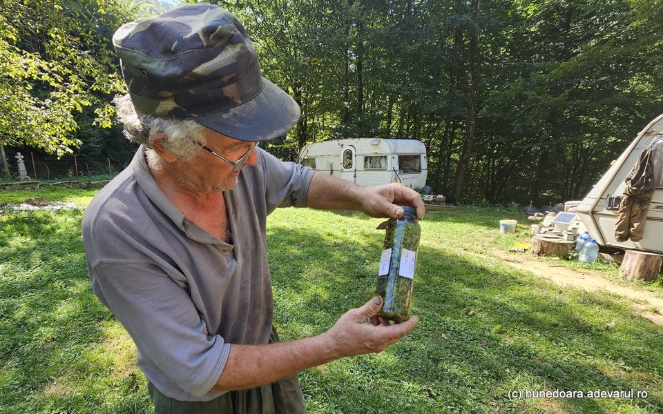 Farmacia secretă a naturii din munții Hunedoarei. Un român a descoperit plantele-minune VIDEO