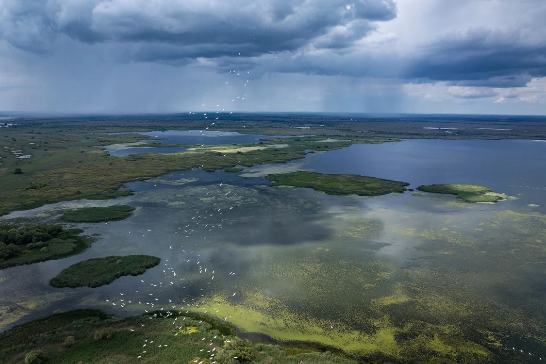Fotografie din Delta Dunării