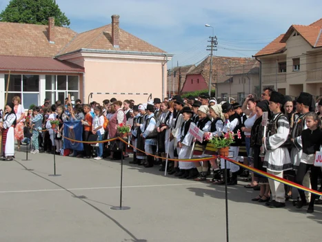 festival alba