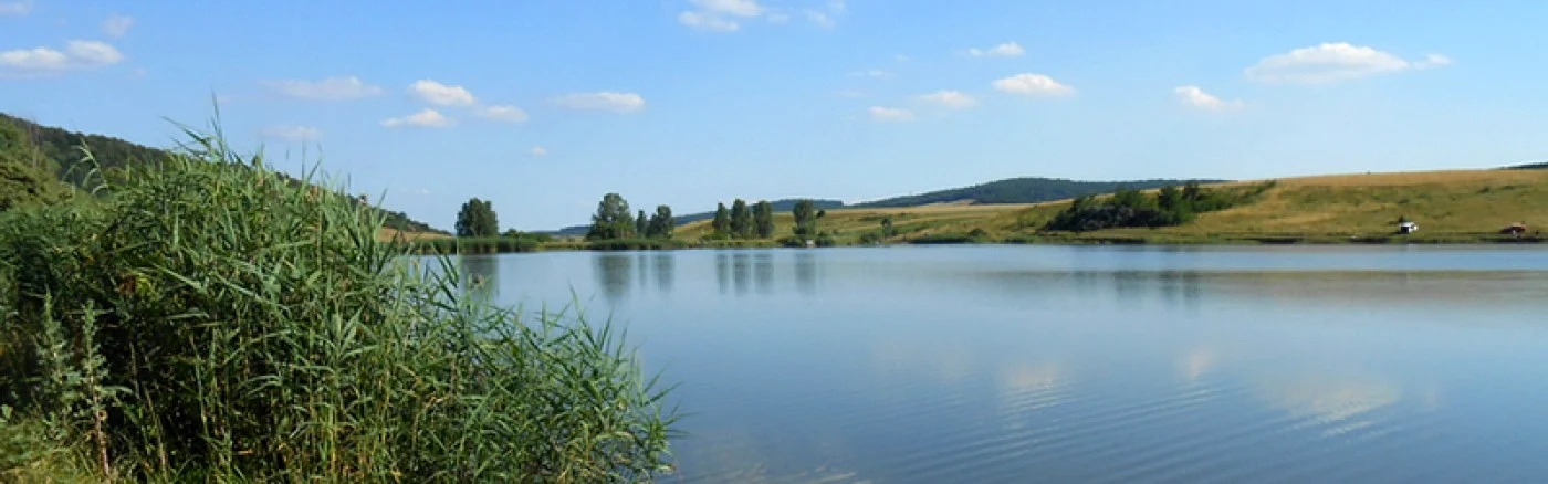 toldal