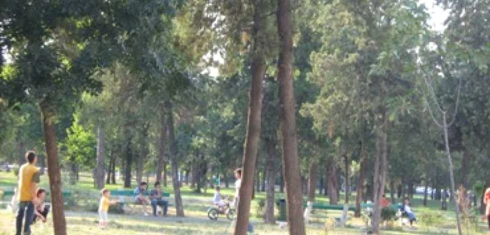 Oradea: Mai multe bănci în oraș