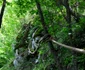 Cetatea dacică Bănița  Foto Muzeul Civilizației Dacice și Romane din Deva (2) jpg