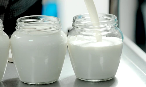 1 shutterstock 1303776586 jpg jpeg