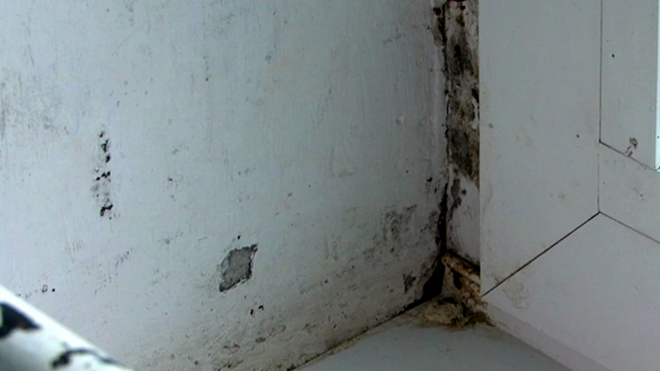 Mizerie spital Tecuci FOTO C Crângan
