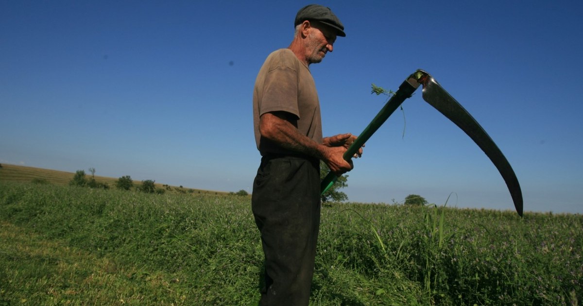 De ce fug tinerii de agricultură: „Ai bani, dar renunți la timpul tău liber”. România, printre țările cu cei mai îmbătrâniți conducători de ferme