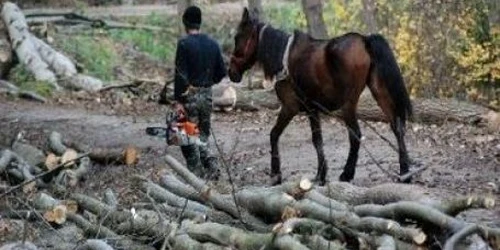 Bărbaţii au fost amendaţi cu 13.000 de lei