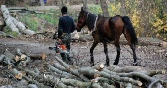 Bărbaţii au fost amendaţi cu 13.000 de lei