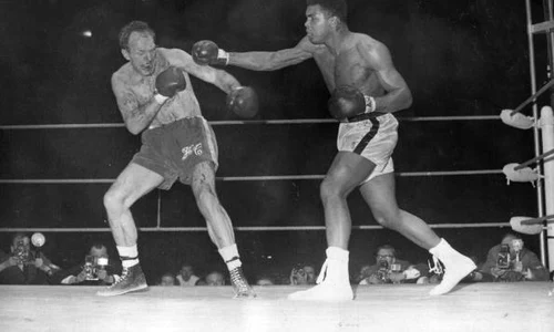cassius clay jpeg