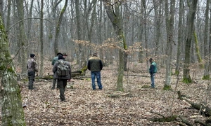 defrisare ilegala baile felix foto ebihoreanul jpeg