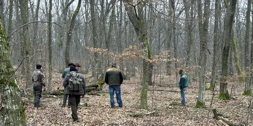 defrisare ilegala baile felix foto ebihoreanul jpeg