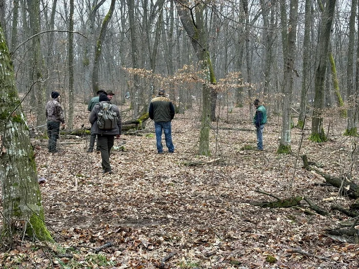 Scandalul a ajuns și la nivelul Ministerului Mediului. FOTO: ebihoreanul.ro