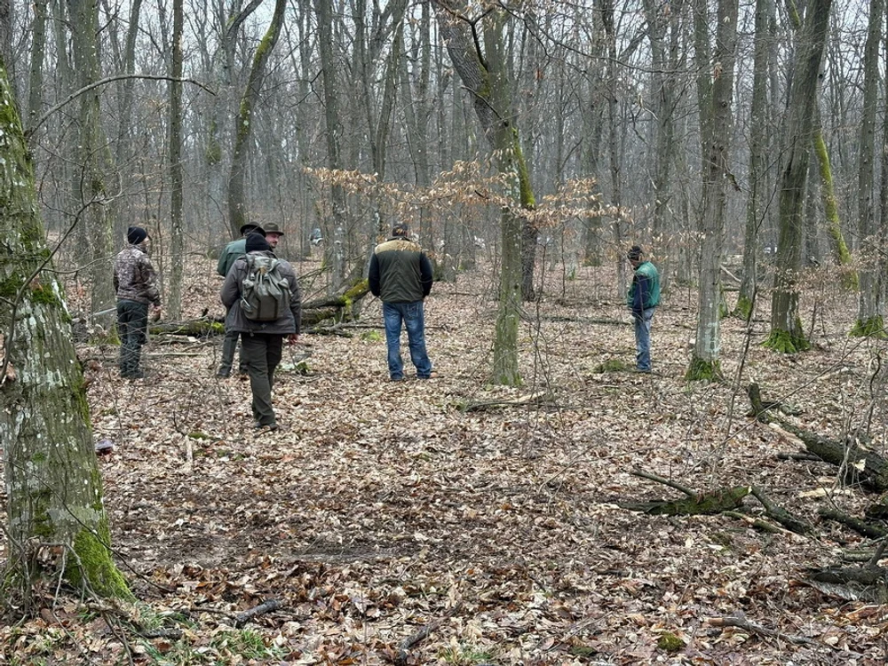 Defrișări ilegale în pădurea din Băile Felix: 14 arbori fără marcaj au fost identificați. Dosar penal pentru firma care a făcut tăierile