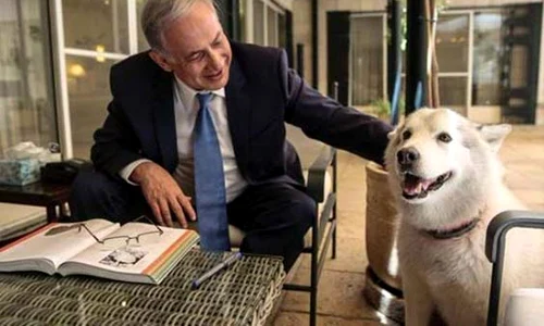 netanyahu kaiya jpeg