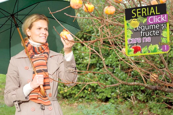 Un kilogram de gutui costă între 4 şi 7 lei