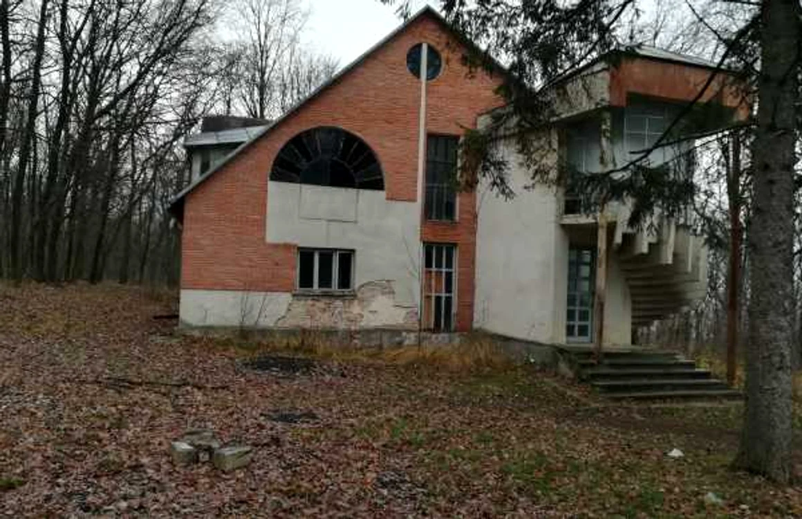 Cabana de vânătoare de la Cordăreni FOTO Cosmin Zamfirache