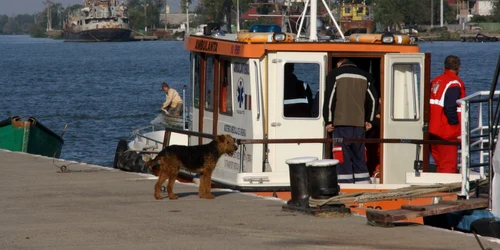 salupa ambulanta tulcea