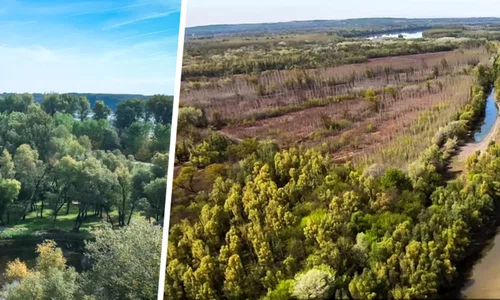 liberland tara fara locuitori jpg