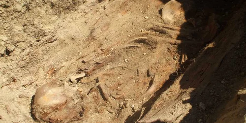 Rămăşiţele umane au fost scoase la lumină de arheologi.