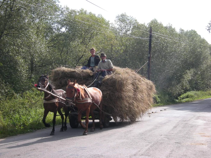 Impresionaţi de o căruţă trasă de cai