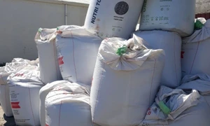 calarasi ingrasaminte FOTO IPJ Călăraşi