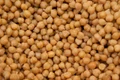 chickpeas 1882839 640 jpeg