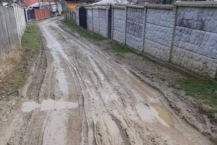 Strada Lisului din oraşul Turceni este plină de nămol                                              FOTO: Facebook