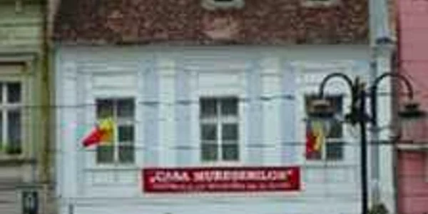 Braşov: Recitalul cameral va avea loc la Muzeul „Casa Mureşenilor“, Foto: arhivă