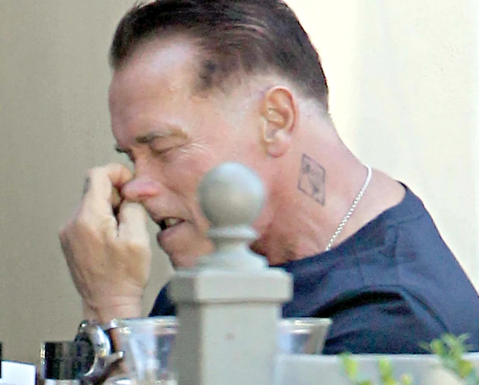 
    Arnold Schwarzenegger  