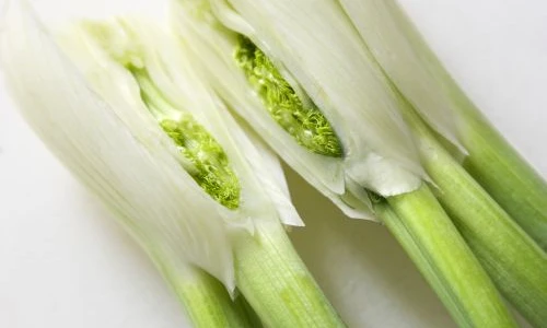 1 64786 original jpg jpeg