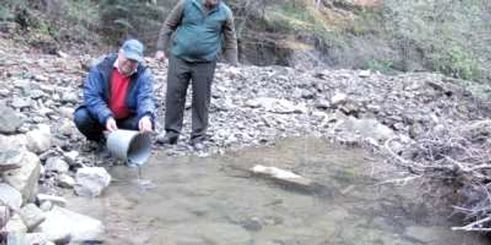 Voluntarii au eliberat puietul de păstrav în apa repede de munte