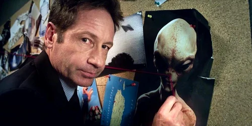 Mulder