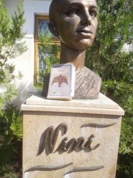 Unul dintre volume a fost “ascuns” la Muzeul Nichita Stănescu