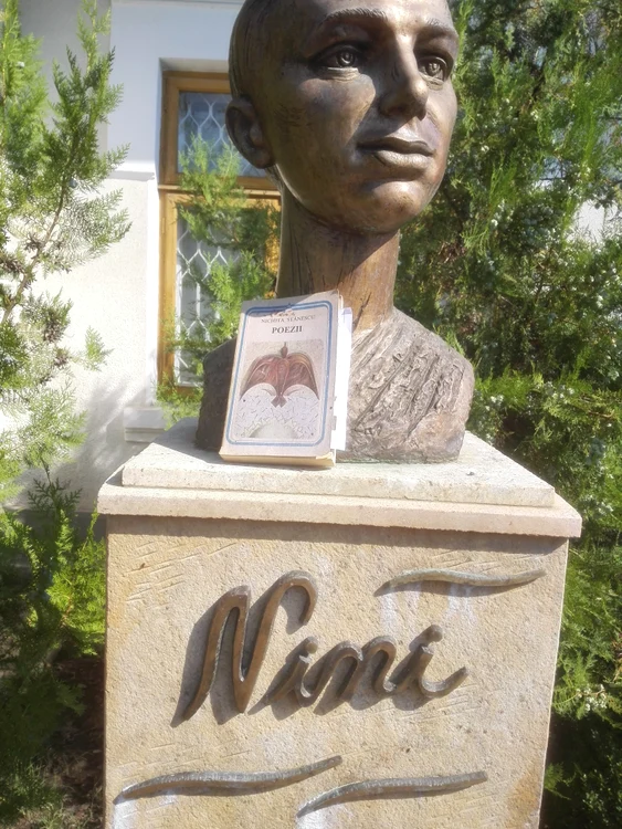 Unul dintre volume a fost “ascuns” la Muzeul Nichita Stănescu
