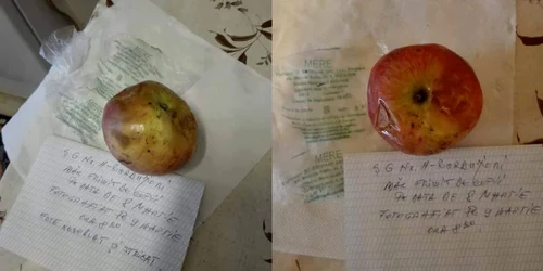 mere stricat in scoli