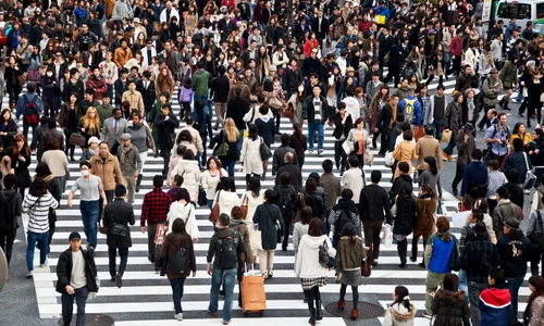 populatia japoniei shutter Descopera scaled jpg