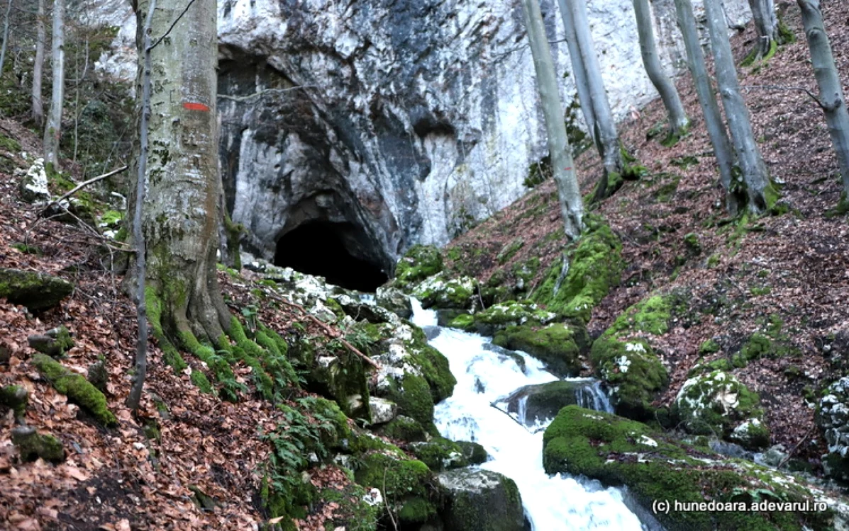 pestera cioclovina