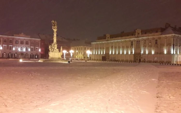 Prima ninsoare din 2019. Timişoara a îmbrăcat din nou haine albe FOTO Ş.Both