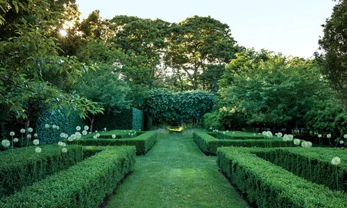 Anna Wintour gradina englezeasca png