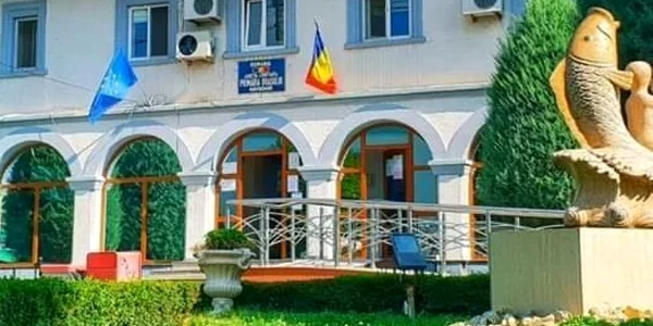Primaria navodari