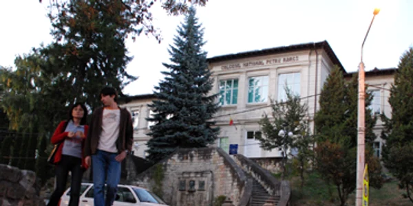 Neamţ: Fără apărare în faţa gripei porcine