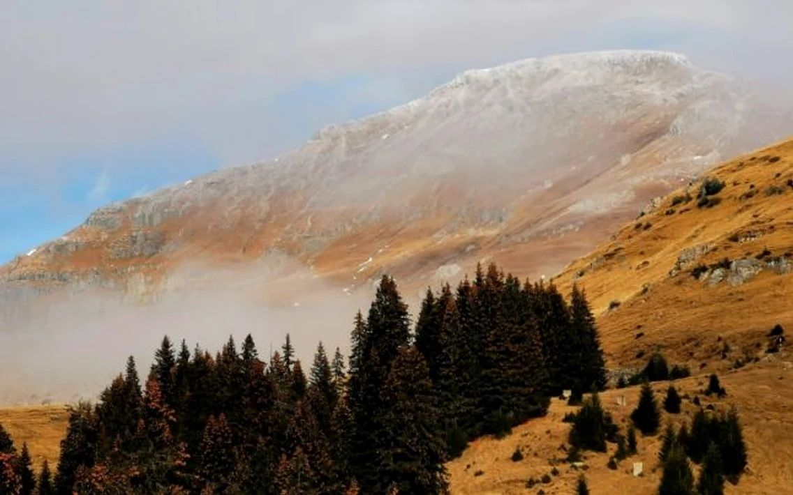 zapada bucegi