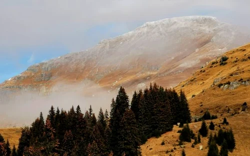 zapada bucegi