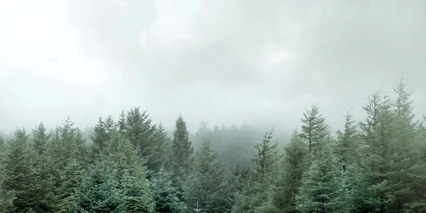 5c7534e0445219c57e9f3da0 jpg