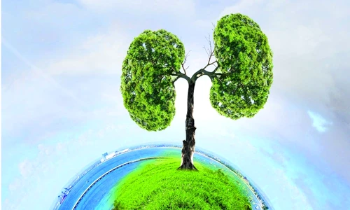 pneumonie simptome şi tratament jpeg