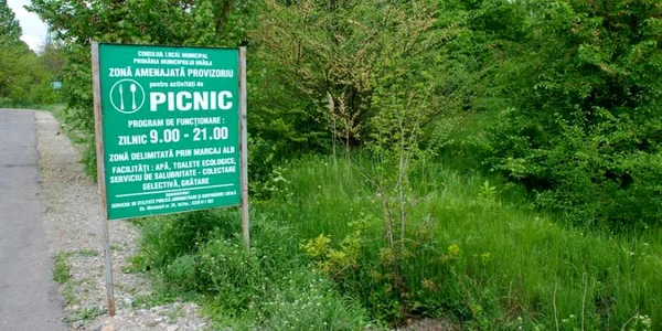 picnic
