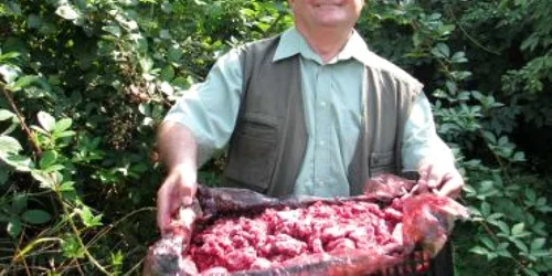 Bistriţa: Tone de fructe de pădure au luat calea Italiei