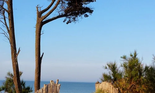 06f8f0ea2d29f110f8ae9ac9ad4d68ac jpeg